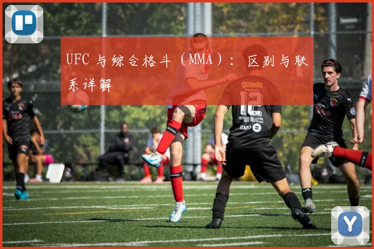 UFC 与综合格斗(MMA):区别与联系详解