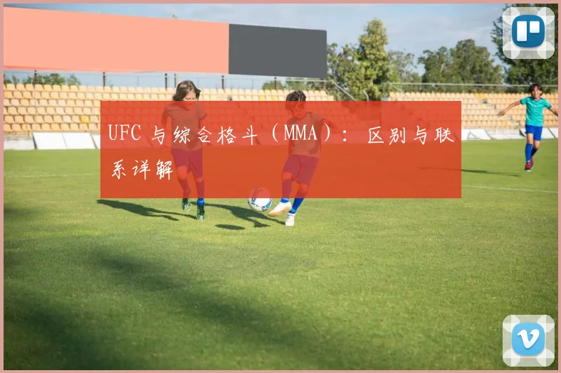 UFC 与综合格斗（MMA）：区别与联系详解
